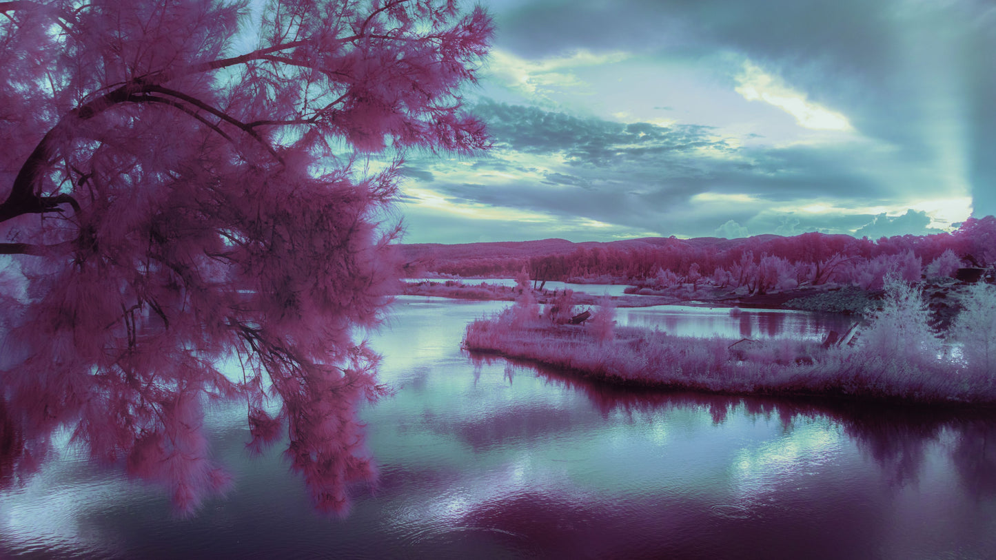 Dreamscape Serenity – Limited Edition Infrared Photography Print