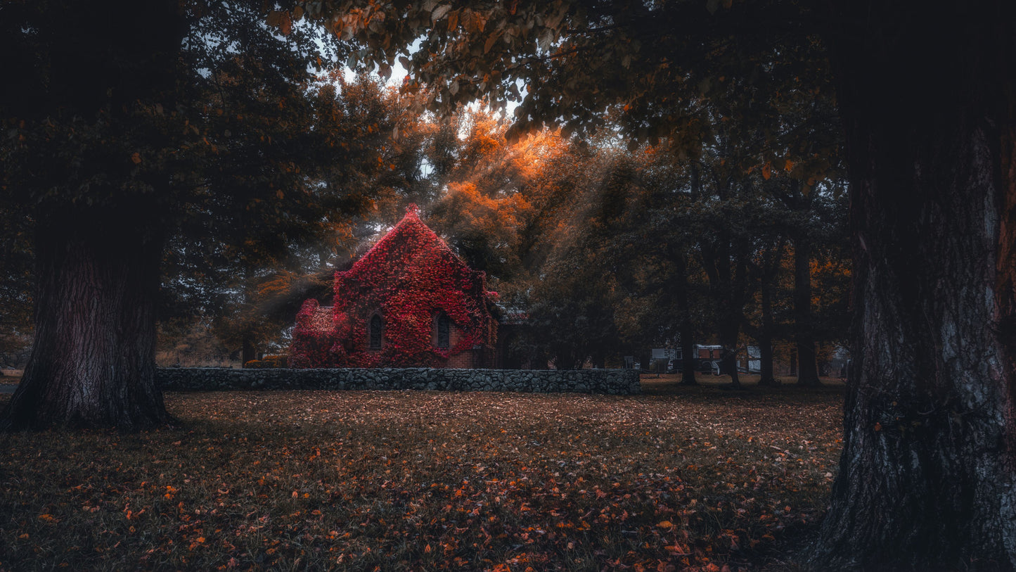 Sanctuary of Forgotten Seasons