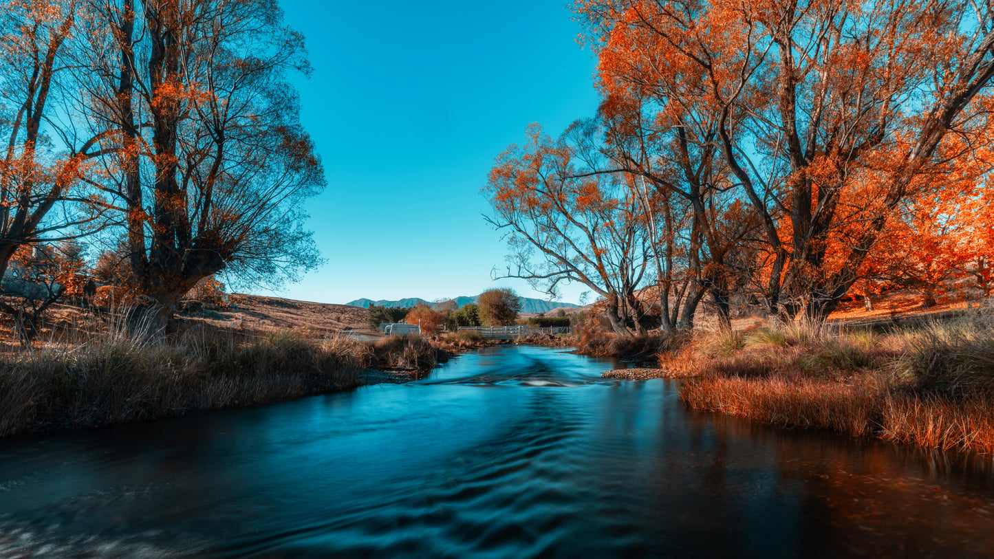Golden Serenity – Limited Edition Fine Art Print