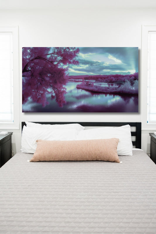 INfrared Photography Tree and LAke