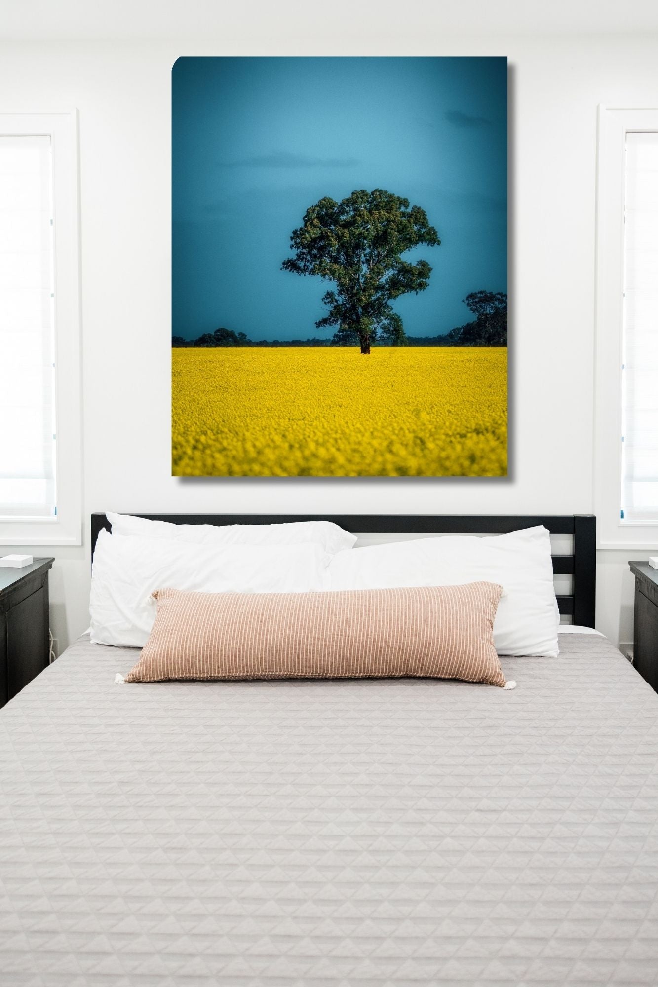 Golden Canola Fields and a Tree