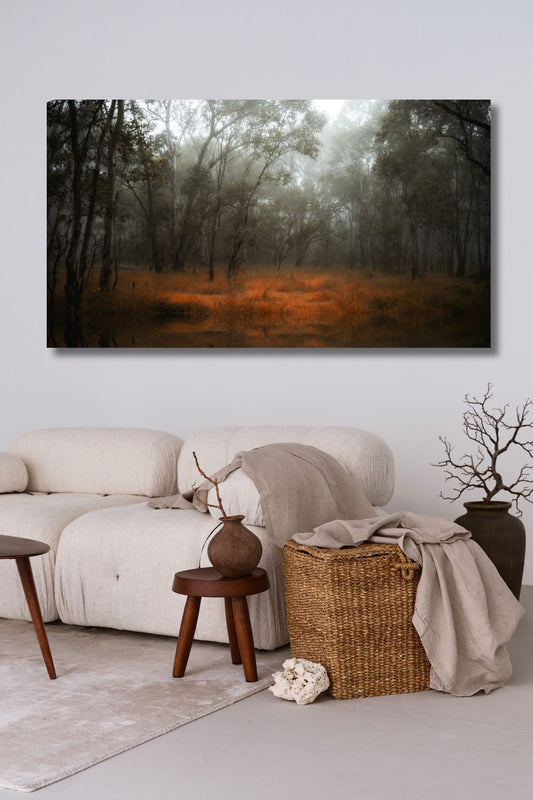golden grasses and towering eucalyptus trees